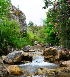 Mesir Tabiat Parkı Kamp Alanı