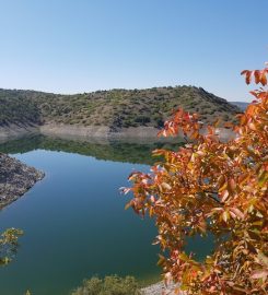 Porsuk Gölü Kamp Alanı