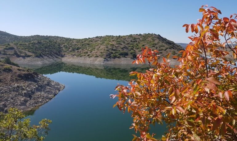 Porsuk Gölü Kamp Alanı