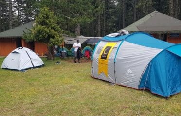 Sarısu Yaylası Kamp Alanı