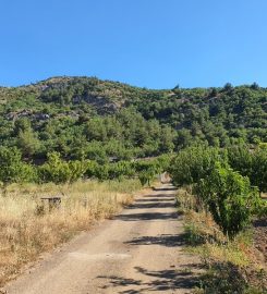 Süreyya Tabiat Parkı Kamp Alanı