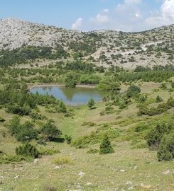 Süreyya Tabiat Parkı Kamp Alanı