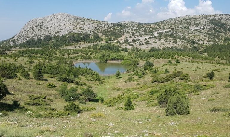 Süreyya Tabiat Parkı Kamp Alanı