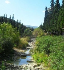 Süreyya Tabiat Parkı Kamp Alanı