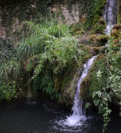 Yeşildere Şelalesi (Ağlayankaya) Kamp Alanı