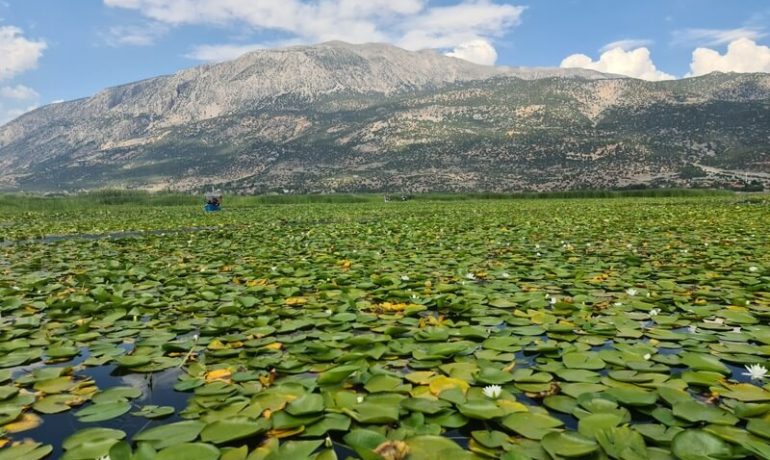 Işıklı Gölü Kamp Alanı