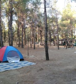 Burdur Kent Ormanı Kamp Alanı