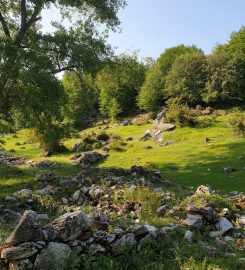 Çamlıca Tabiat Parkı Bungalov Evleri