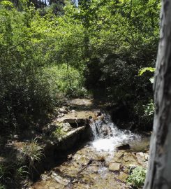 Çamlıca Tabiat Parkı Bungalov Evleri