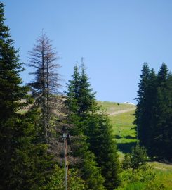 Ilgaz Dağı Milli Parkı Kamp Alanı