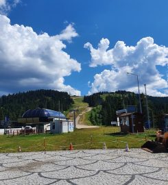 Ilgaz Dağı Milli Parkı Kamp Alanı