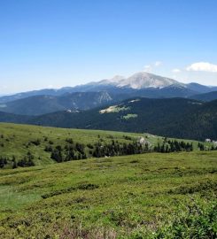 Ilgaz Dağı Milli Parkı Kamp Alanı