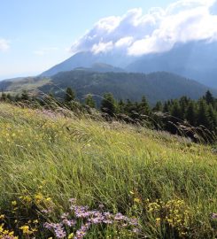 Ilgaz Dağı Milli Parkı Kamp Alanı