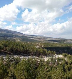 Kütahya Şehir Ormanı Kamp Alanı