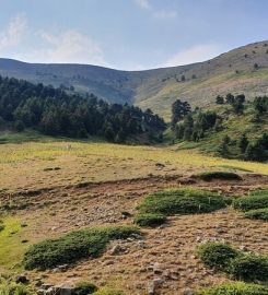 Gediz Irmağı Kamp Alanı