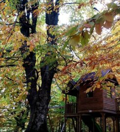 Palazoğlu Göleti Kamp Alanı