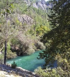 Kargı Köyü Sığla Ormanı Kamp Alanı