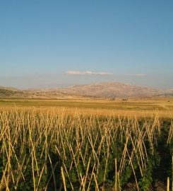 Yazır Gölü Kamp Alanı