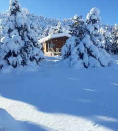 Akkışla Yaylası Bungalov Evleri