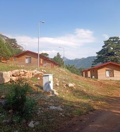 Başpınar Tabiat Parkı Bungalov Evleri