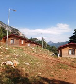 Başpınar Tabiat Parkı Bungalov Evleri