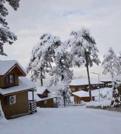 Ihlamur Seyir Teras Bungalov Evleri