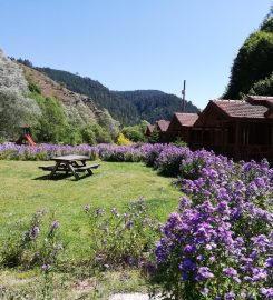 Kargı Tatil Köyü Bungalov Evleri