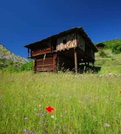 Kargı Tatil Köyü Bungalov Evleri