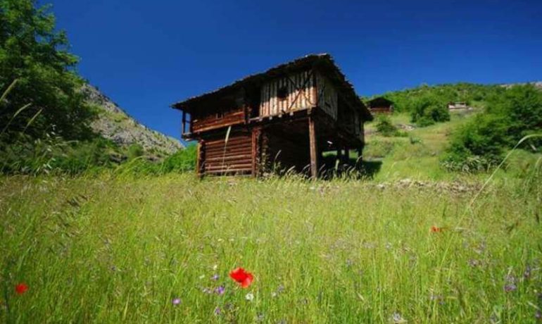 Kargı Tatil Köyü Bungalov Evleri