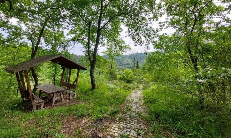 Milli Egemenlik Tabiat Parkı Bungalov Evleri