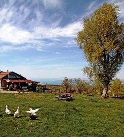 Yakamanastır Tabiat Parkı Bungalov Evleri