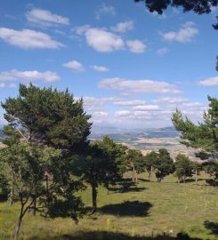 Çatak Tabiat Parkı Bungalov Evleri