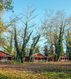 Yüzüncü Yıl Ecopark Bungalov Evleri