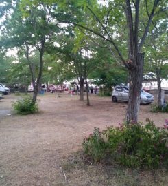 Altınkum Kanarya Camping