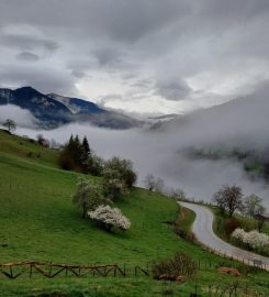 Süllü Dag Evi 