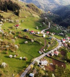 Süllü Dag Evi 