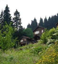 Zitaş Otel Zigana Yayla Tatil Köyü