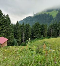 Zitaş Otel Zigana Yayla Tatil Köyü