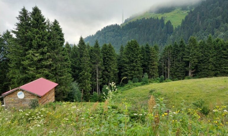 Zitaş Otel Zigana Yayla Tatil Köyü