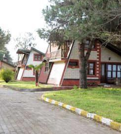 Çınarsuyu Tabiat Parkı Bungalov Evleri