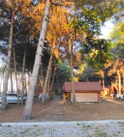 Çınarsuyu Tabiat Parkı Bungalov Evleri