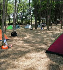 Çınarsuyu Tabiat Parkı Bungalov Evleri