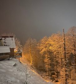 Ayder Şelale Dağ Evleri