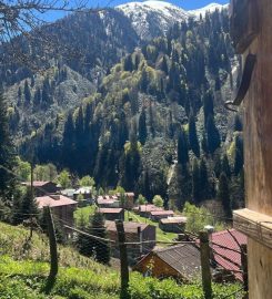 Ayder Yeşil Vadi Otel