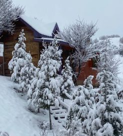 Düş Yolcusu At Çiftliği Bungalov Evleri