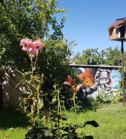 Garden Of Cappadocia