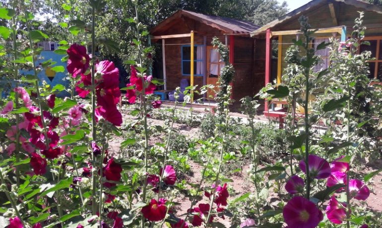 Garden Of Cappadocia