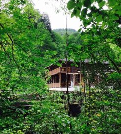 Raşot Vadisi Alabalık Tesisi Bungalow Otel