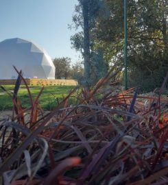 Silivri Glamping Dome Marsevleri