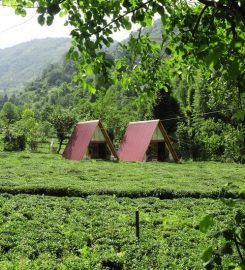 Tabiat Bungalows